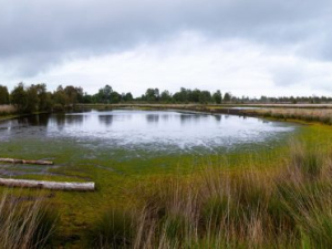 IMG_2604-Pano-scaled