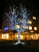 Leuchtender Baum