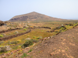Antiguia-Rofera-17