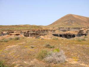 Antiguia-Rofera-9
