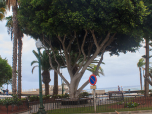 Arrecife-11
