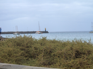 Arrecife-17