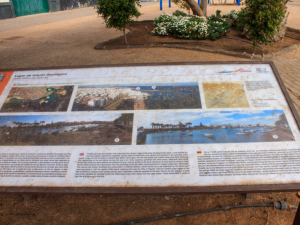 Arrecife-2