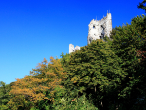 Burgruine Drachenfels