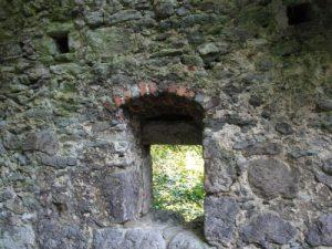 Burgruine Drachenfels