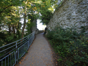 Burgruine Drachenfels