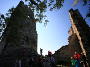 Burgruine Drachenfels