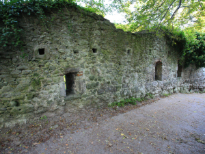 Burgruine Drachenfels