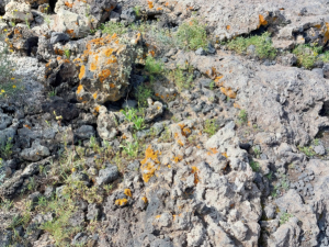 Caldera-Blanca-75