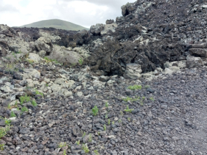 Caldera-Blanca-79