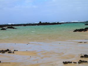 Caleton-Blanco-15