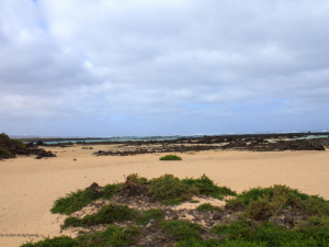 Caleton-Blanco-2