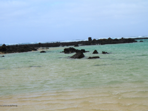 Caleton-Blanco-9