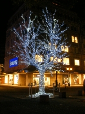 Leuchtender Baum