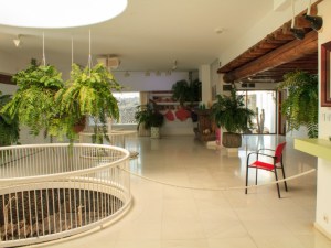 Fundacion-Cesar-Manrique-24