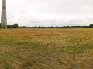 IMG_20190716_161155-scaled