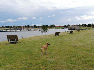 IMG_20190712_172431_419