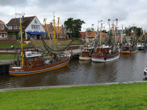 IMG_20190712_184933_688