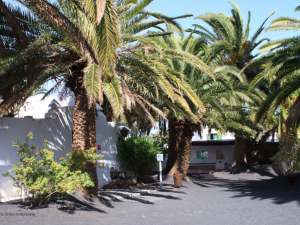 Haus-Cesar-Manrique-4