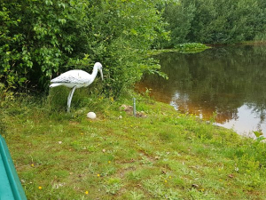 20190711_104146-scaled