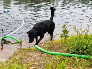 20190711_104400-scaled