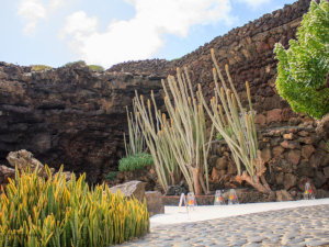 Jameos-de-Agua-11
