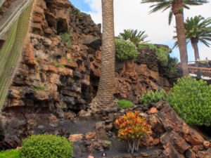 Jameos-de-Agua-17