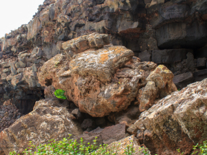 Jameos-de-Agua-20