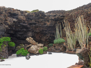 Jameos-de-Agua-21