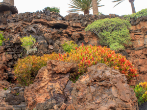 Jameos-de-Agua-22