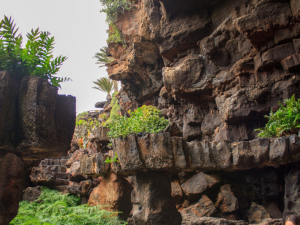 Jameos-de-Agua-25