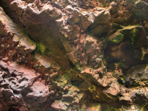 Jameos-de-Agua-28