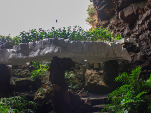 Jameos-de-Agua-30