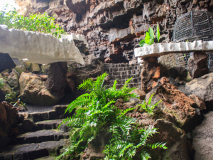 Jameos-de-Agua-31