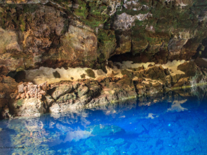 Jameos-de-Agua-37