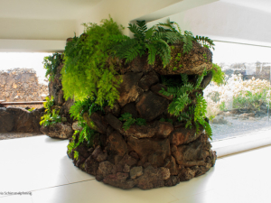 Jameos-de-Agua-4