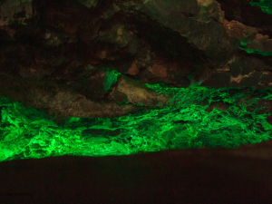 Jameos-de-Agua-43