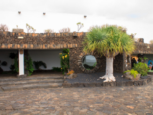 Jameos-de-Agua-7