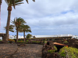 Jameos-de-Agua-8