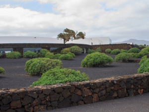 Jameos-de-Agua