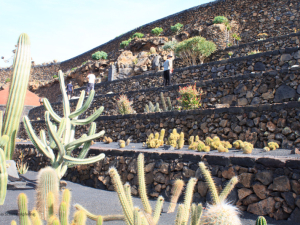 Jardin-de-Cactus-16