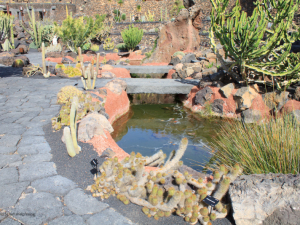 Jardin-de-Cactus-17