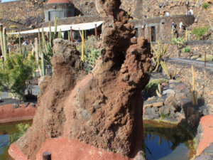 Jardin-de-Cactus-20