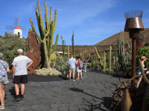 Jardin-de-Cactus-23