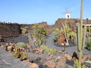 Jardin-de-Cactus-9
