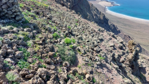 Mirador del Rio