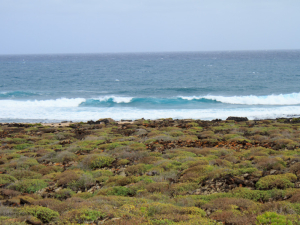 Playa-de-la-pequena-19