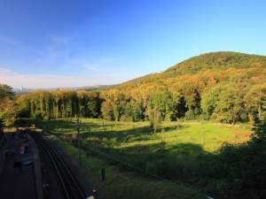 Der Petersberg mit dem Blick auf das 5 Sterne Hotel