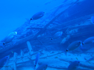 uboot-15