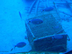uboot-16